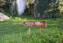 The Sultan’s Wealth and Mental Health