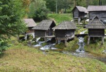 Identifying the Harbour of the Bucoleon