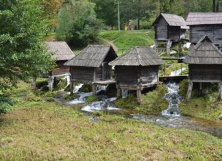 Identifying the Harbour of the Bucoleon