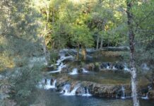 Rivers and Trade Routes