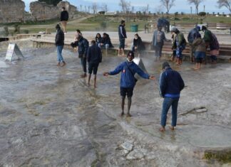 Occupational Expertise Measures